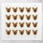 Red Fox Stamps - Sheet of 20