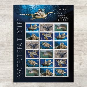Protect Sea Turtles Stamps, Sheet of 18