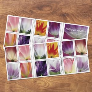 Tulip Blossoms Stamps, Book of 20