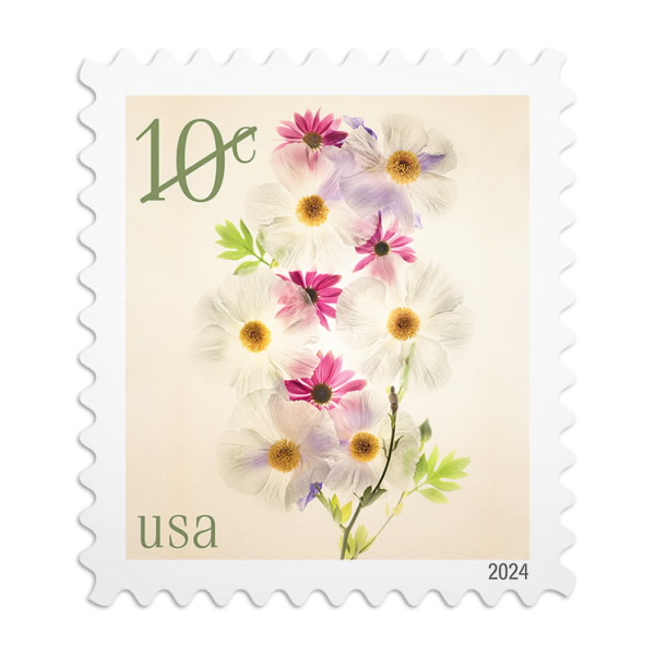 Poppies and Coneflowers Stamps, Sheet of 20