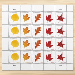 Vibrant Leaves Postcard Stamps, Sheet of 20